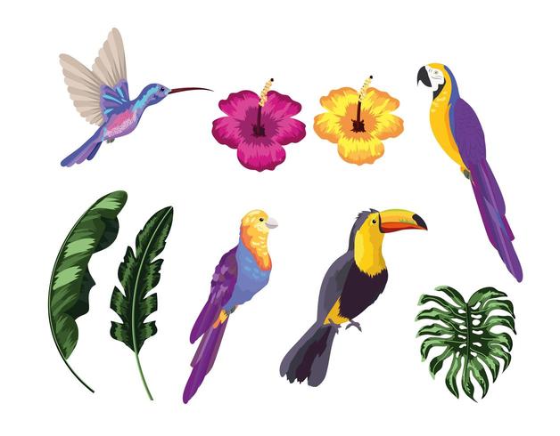 set exotische vogels met natuurlijke bladeren vector