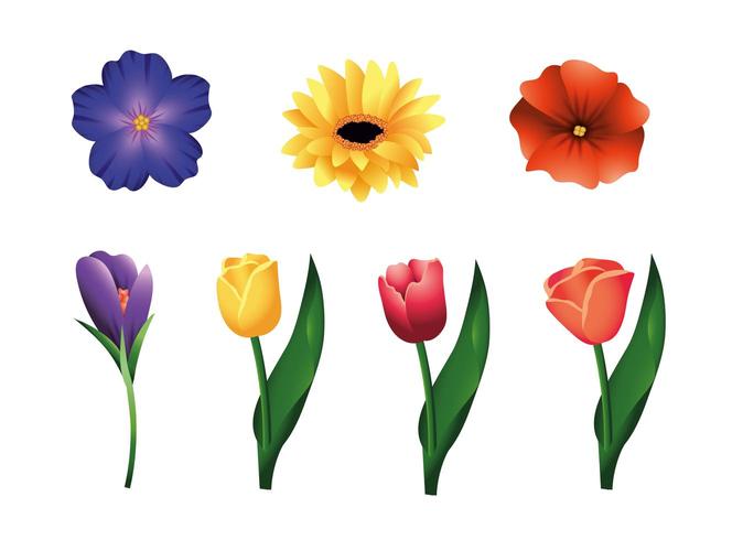 bloemen en rozen planten met bladeren instellen vector