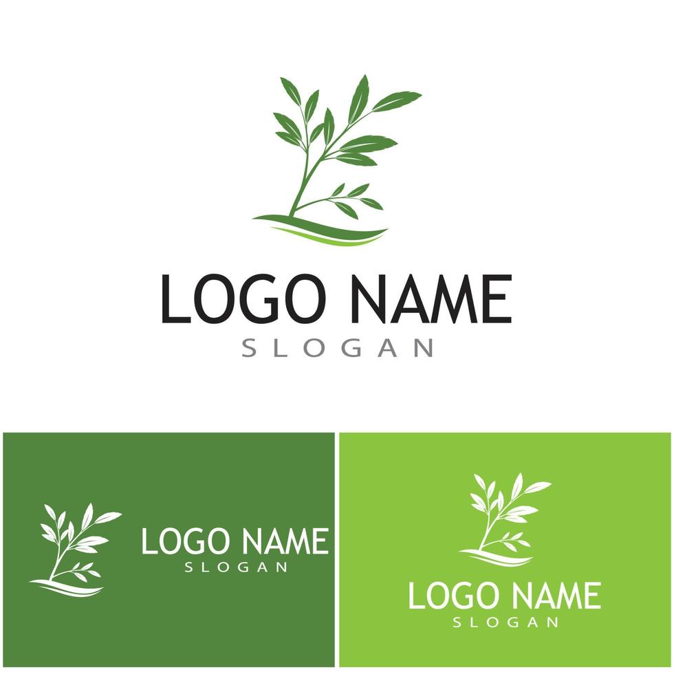 blad pictogram vector illustratie ontwerp logo sjabloon