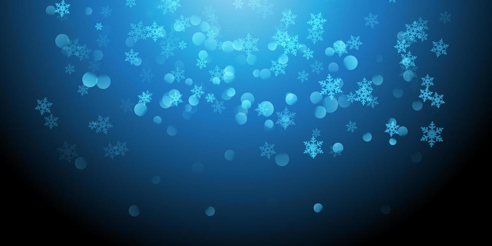 Kerst sneeuwvlok banner vector