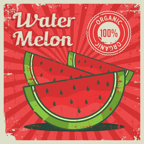 Watermeloen Vintage Retro bewegwijzering vector