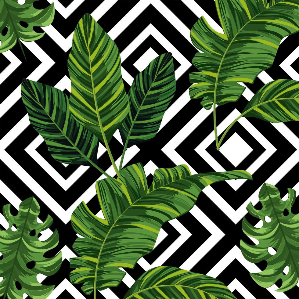 tropische bladeren planten en cijfers achtergrond vector