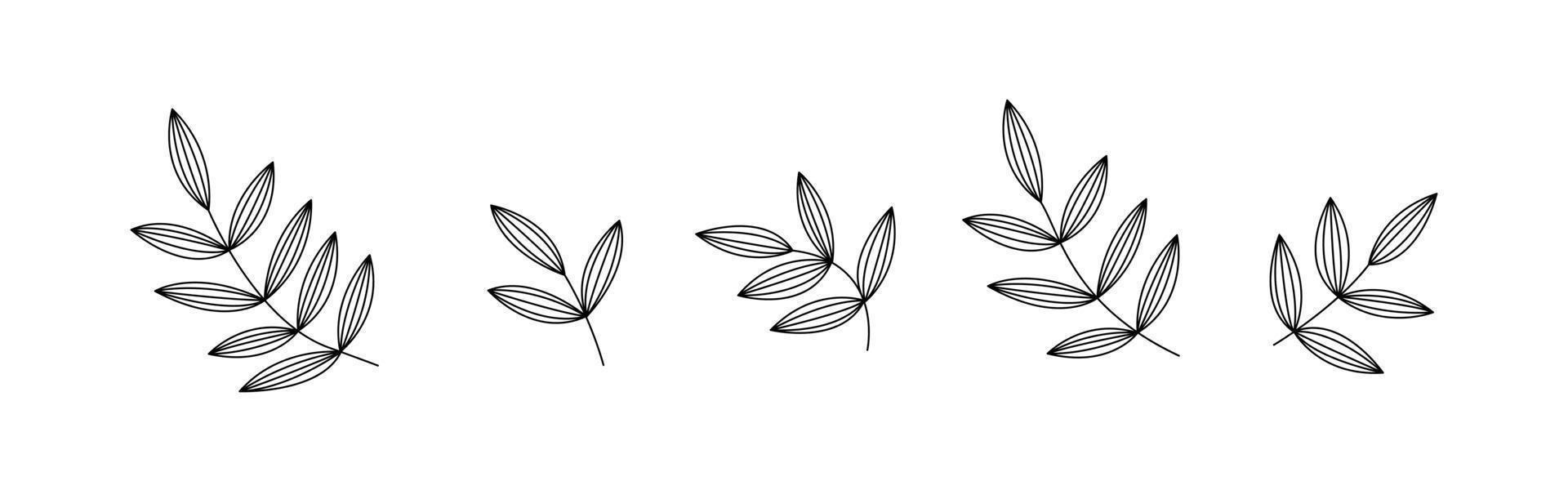 botanische bloemenborstel met blad. hand tekenen grens. abstract verlofpatroon als achtergrond. botanisch textuurontwerp voor print, kunst aan de muur en behang. vector illustratie