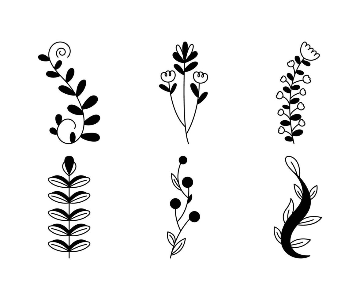 bladeren en bloemen illustratie set vector