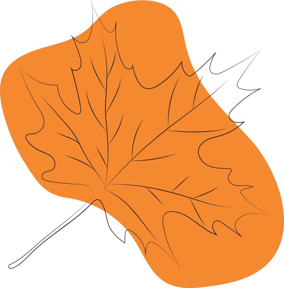 het is een decoratief element om herfstontwerpen van esdoornblad in lineaire stijl en oranje vlek te versieren vector