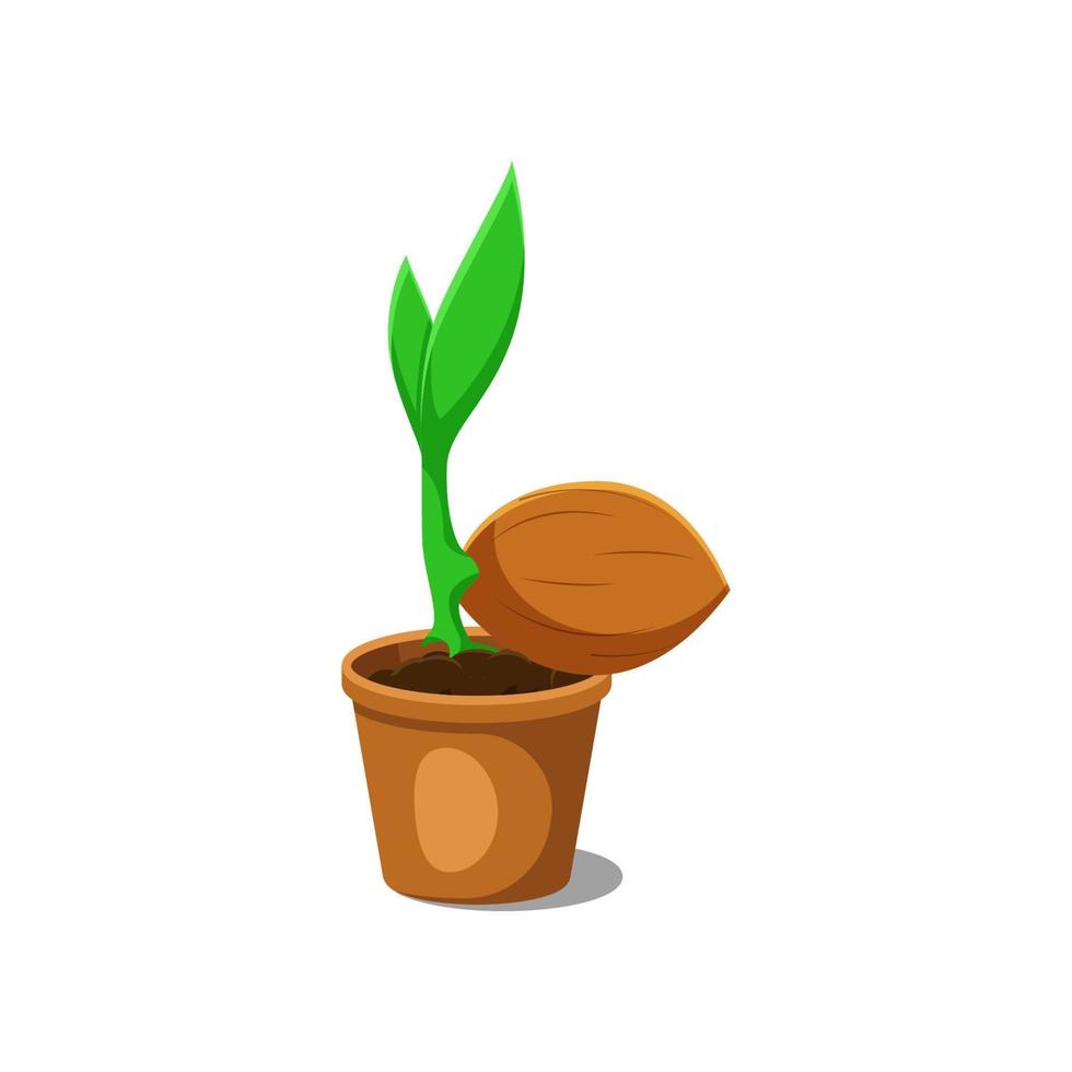 kokosscheuten in een pot, platte ontwerpvector. vector