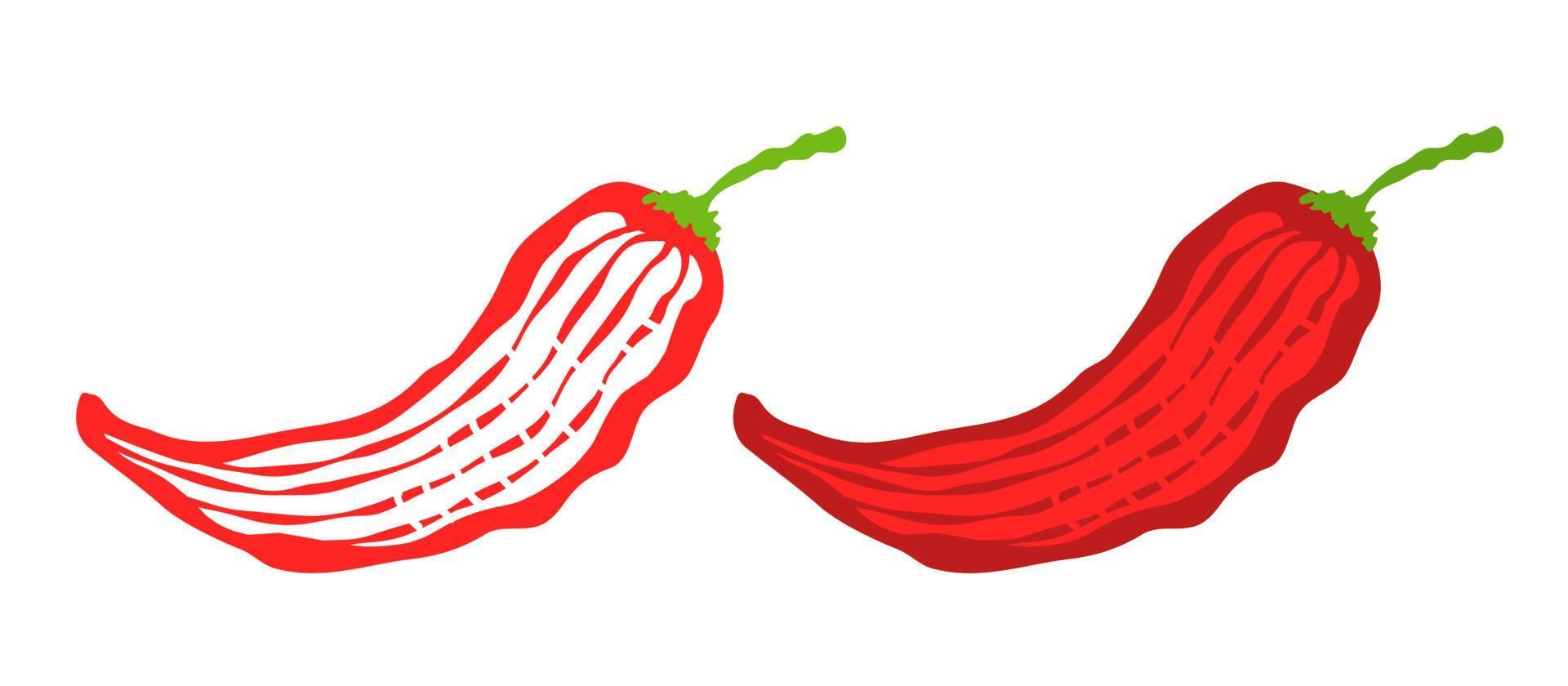 vectorillustratie van chili peper. vector icoon van chili peper in vintage stijl.