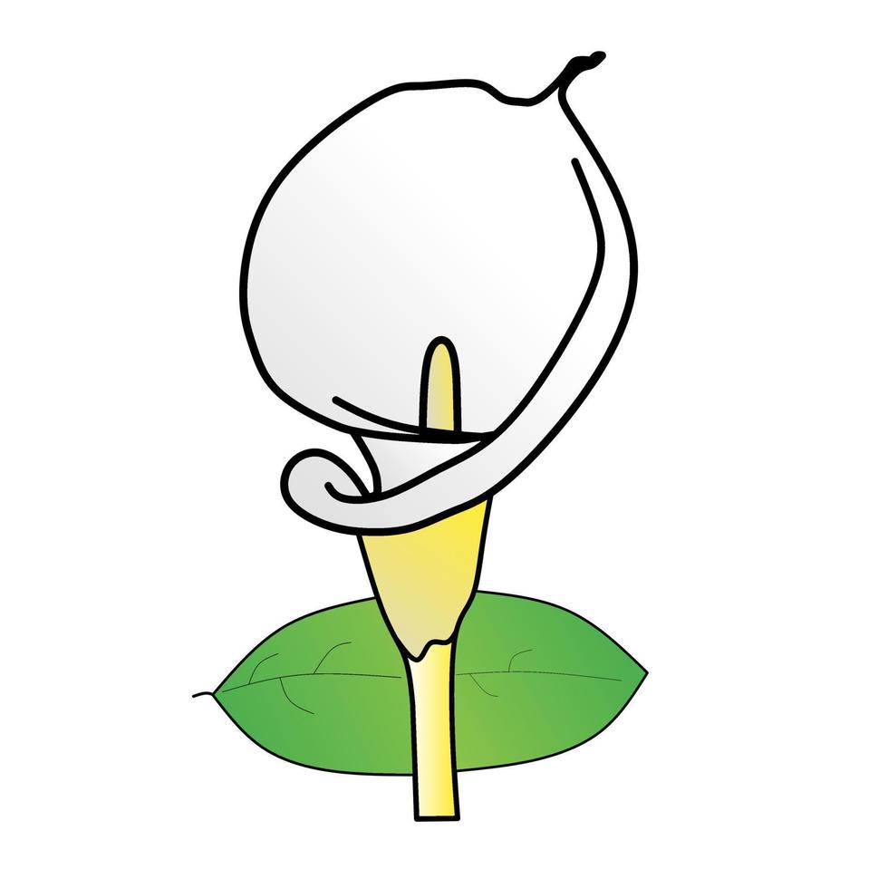 een illustratie van een tulpenbloem met groene bladeren op een heldere achtergrond vector