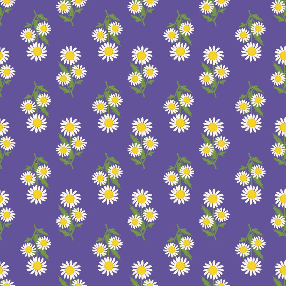 naadloze patroon van witte kamille bloemen met groene bladeren op paarse achtergrond. print met veldplant madeliefje. platte vectorillustratie vector