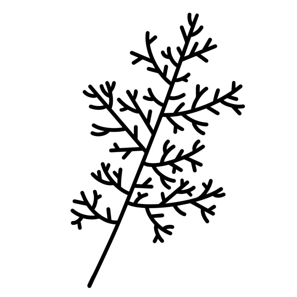 takje met bladeren vector pictogram. geïsoleerd botanisch element op een witte achtergrond. tak silhouet, zwarte omtrek. hand getrokken takje. wilde kruiden, geneeskrachtige planten