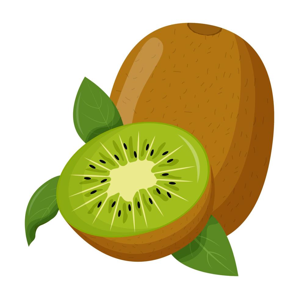 hele kiwi met groen blad geïsoleerd op een witte achtergrond. platte vectorillustratie. vector