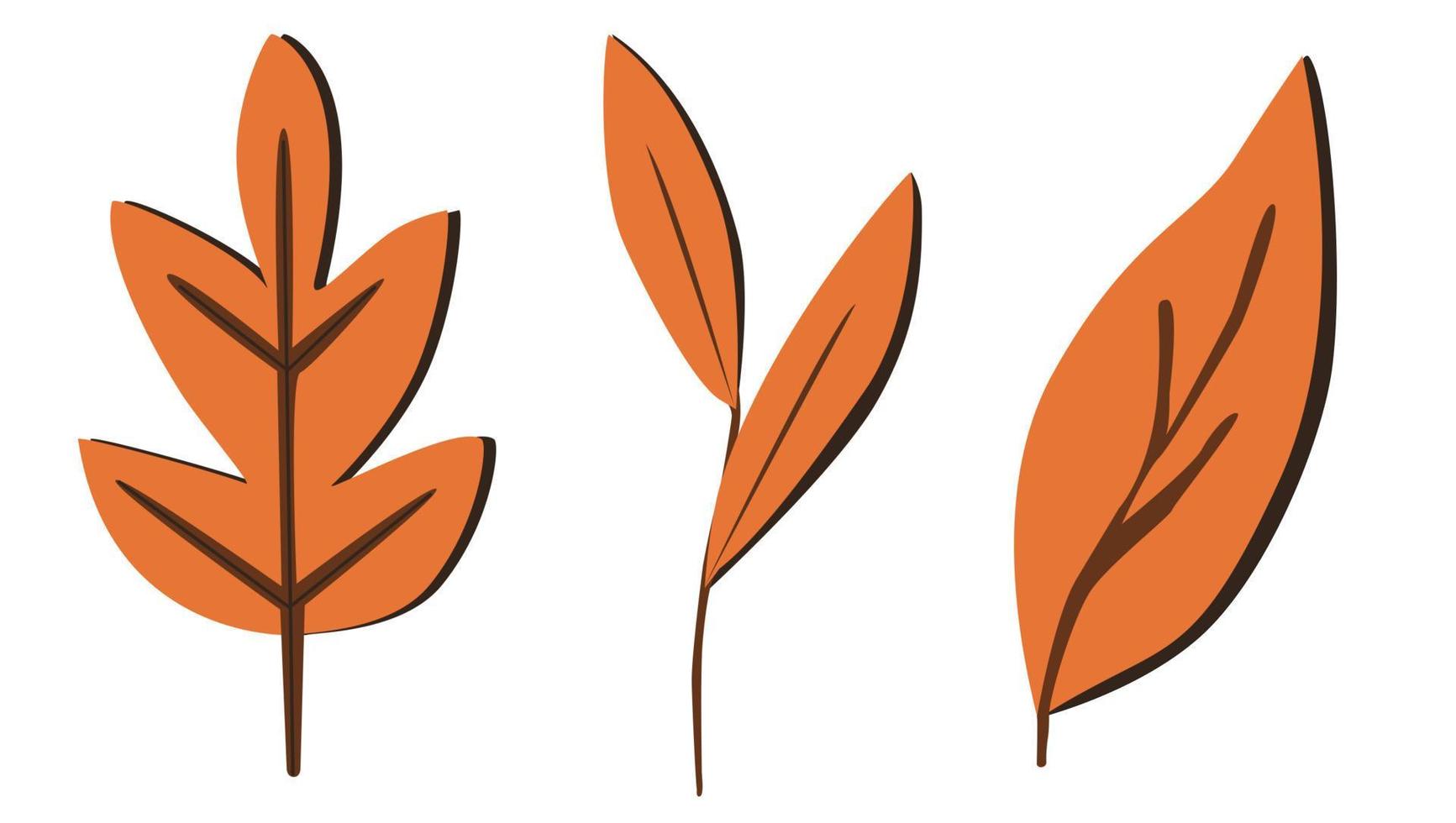 moderne herfstbladeren illustratie vector