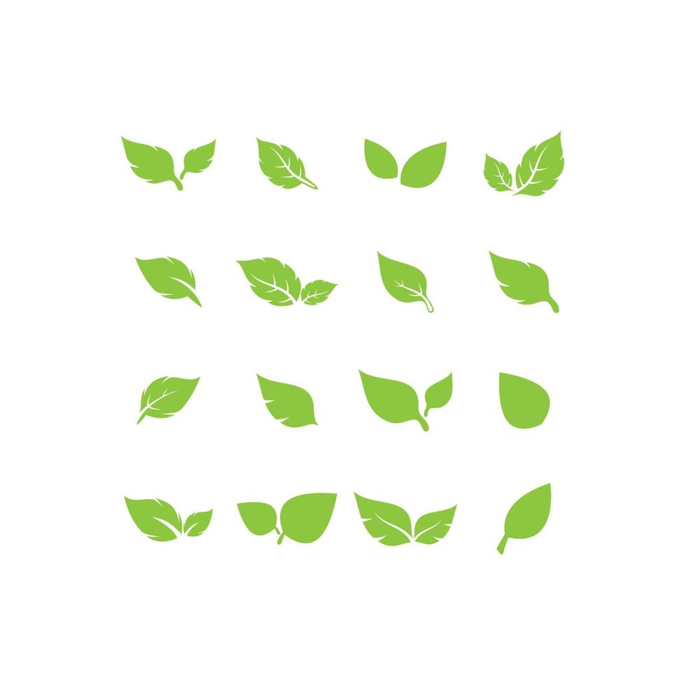 unieke groene blad symbool logo vector complete collectie bundel