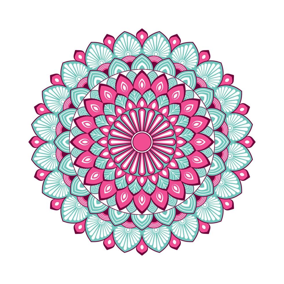 kleurrijke mandala met bloemvormen vector