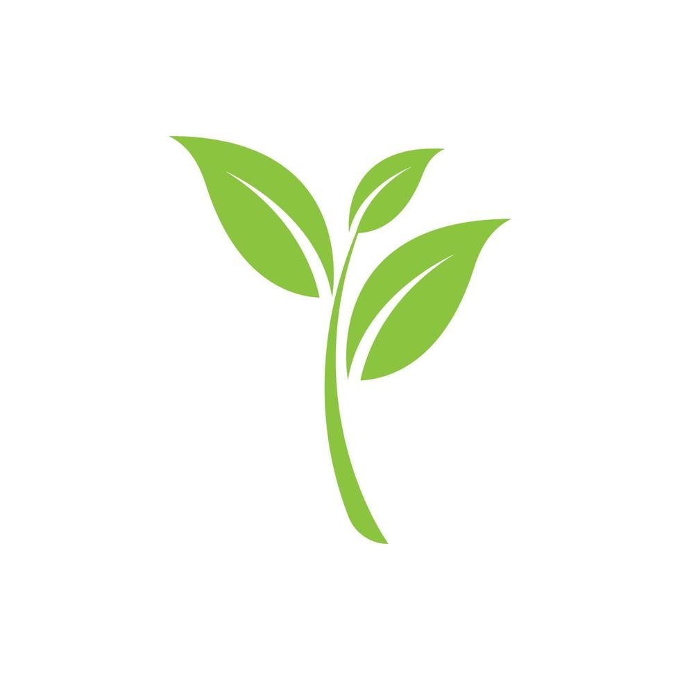 groen blad logo vector