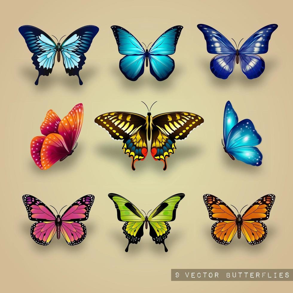 Kleurrijke Vector vlinders Set