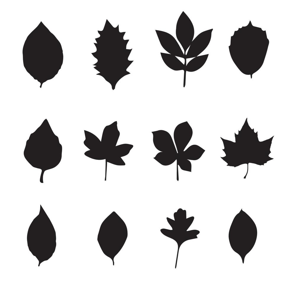 bladeren silhouetten set vector