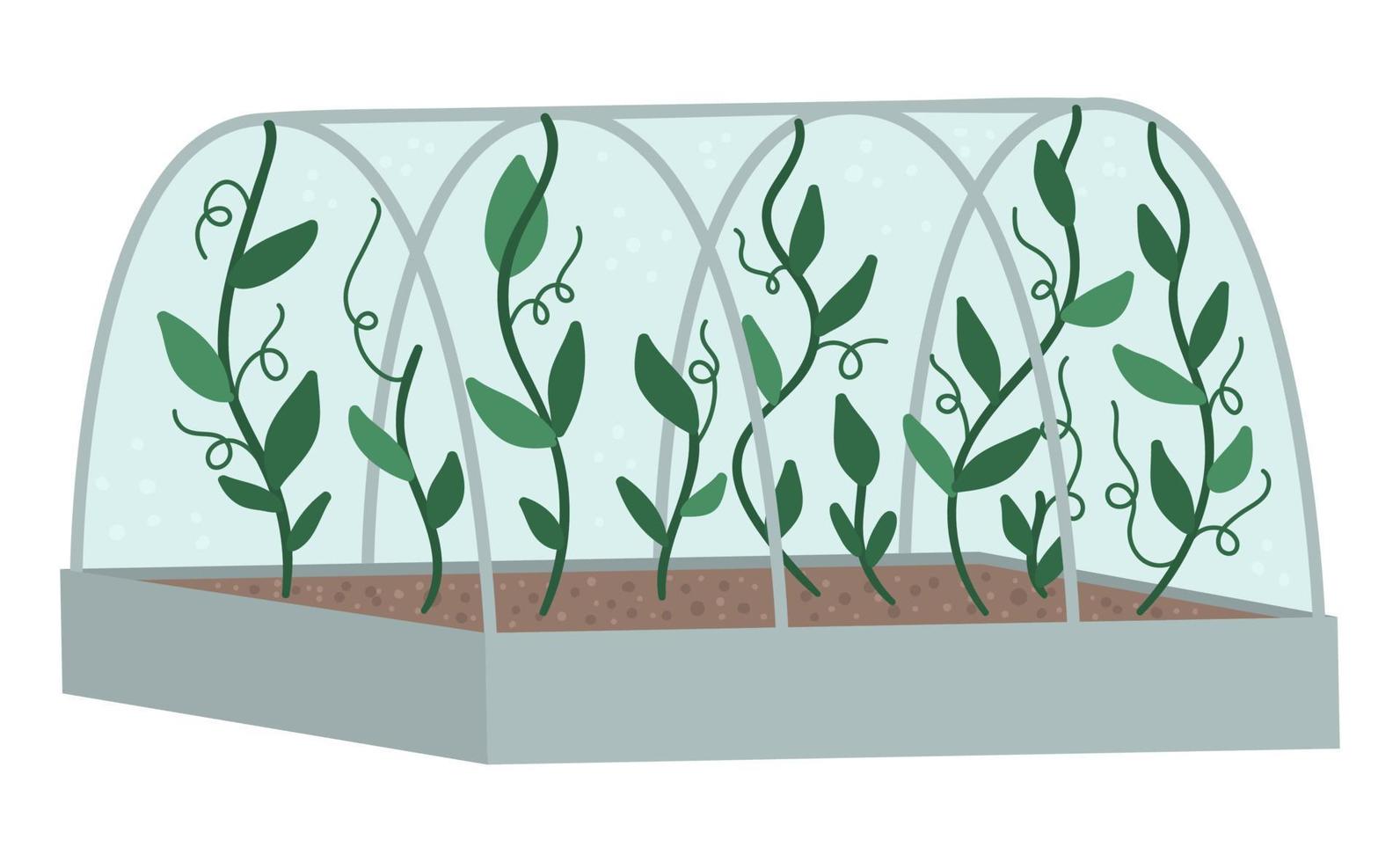 vectorkas met groene klimplanten. platte warme huis illustratie geïsoleerd op een witte achtergrond. zijaanzicht greenroom foto. lente tuin illustratie. vector