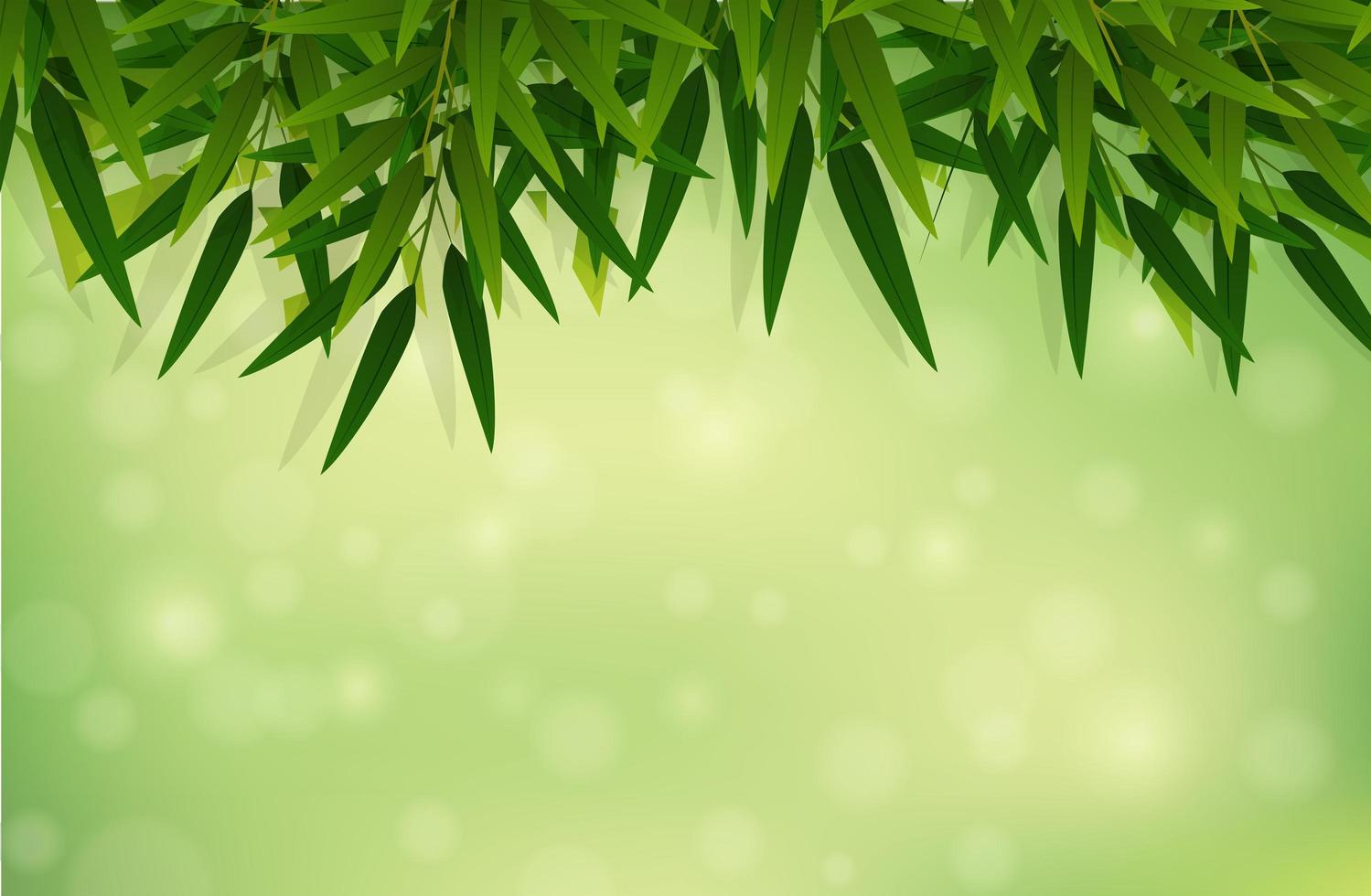 Een groene bamboe blad achtergrond vector