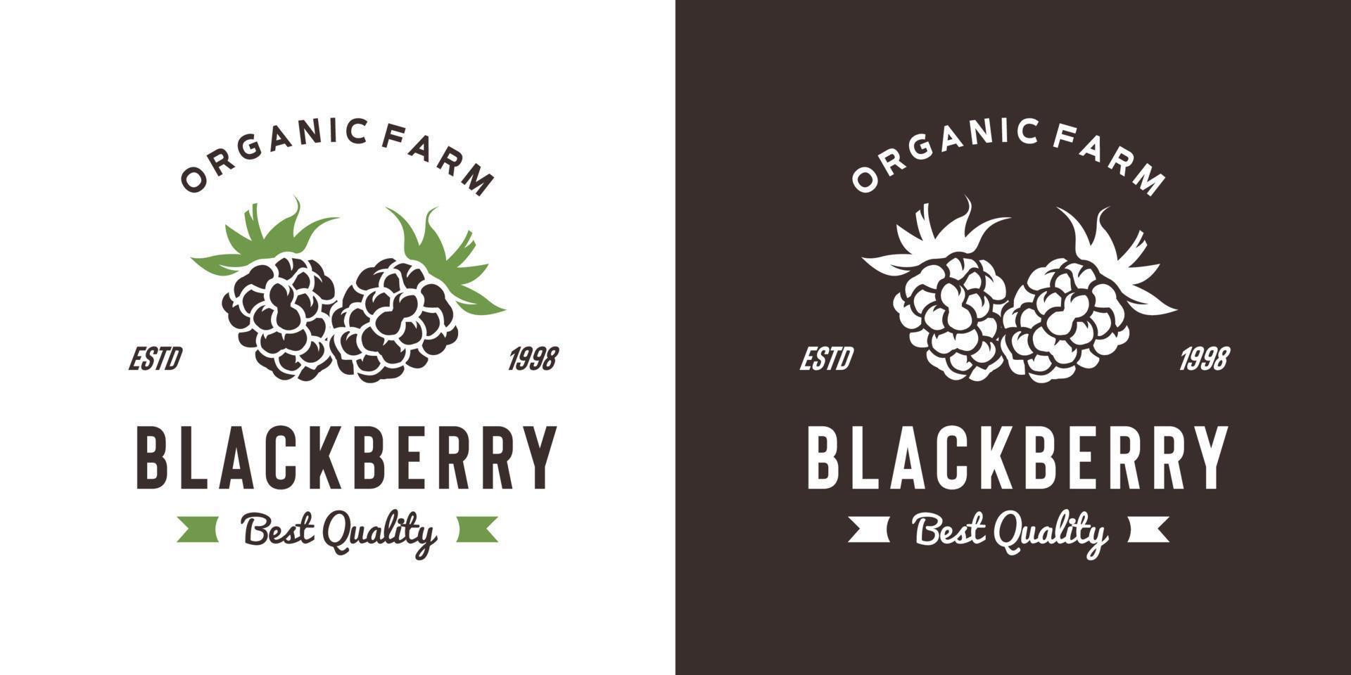 vintage blackberry fruit logo illustratie geschikt voor fruitwinkel en fruitboerderij vector