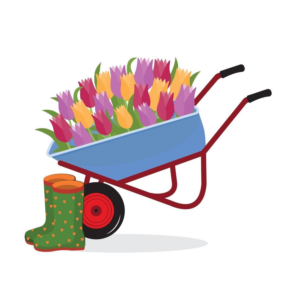 kruiwagen met tulp bloemen en rubberen laarzen, kleur geïsoleerde vectorillustratie vector