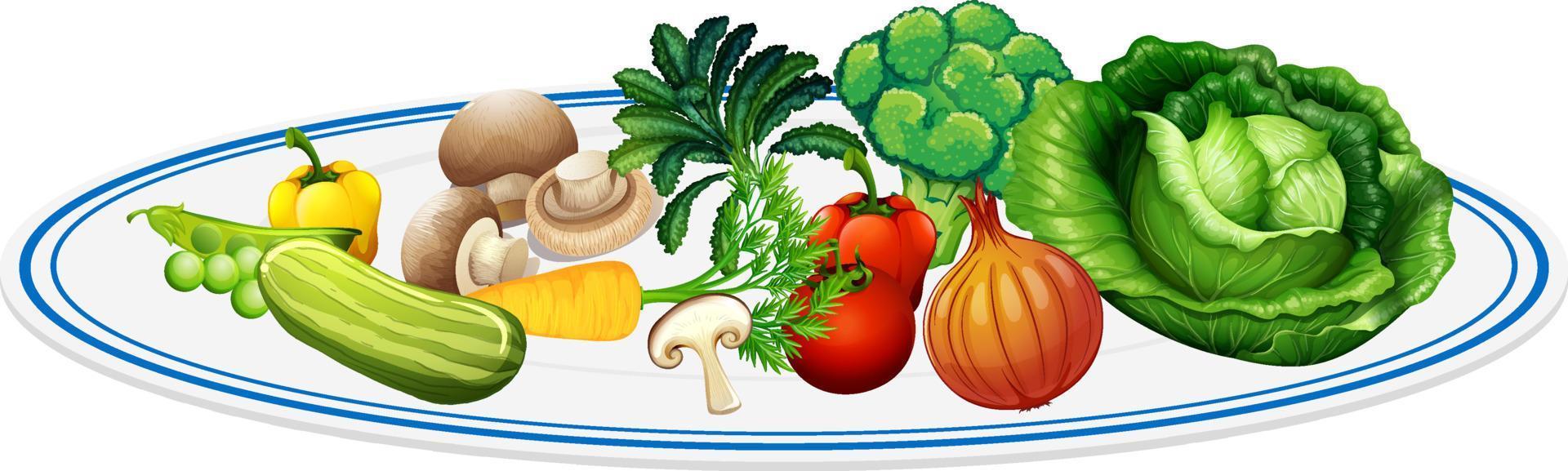 gezonde salade in een bord vector