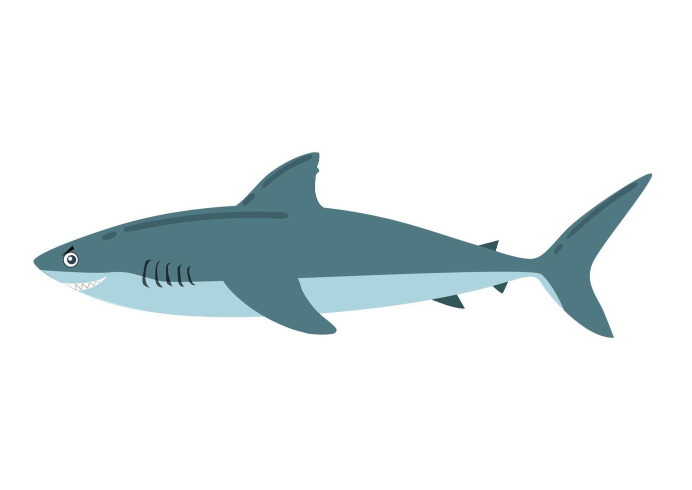 cartoon haai in vlakke stijl. vectorillustratie van haai pictogram geïsoleerd op een witte achtergrond vector