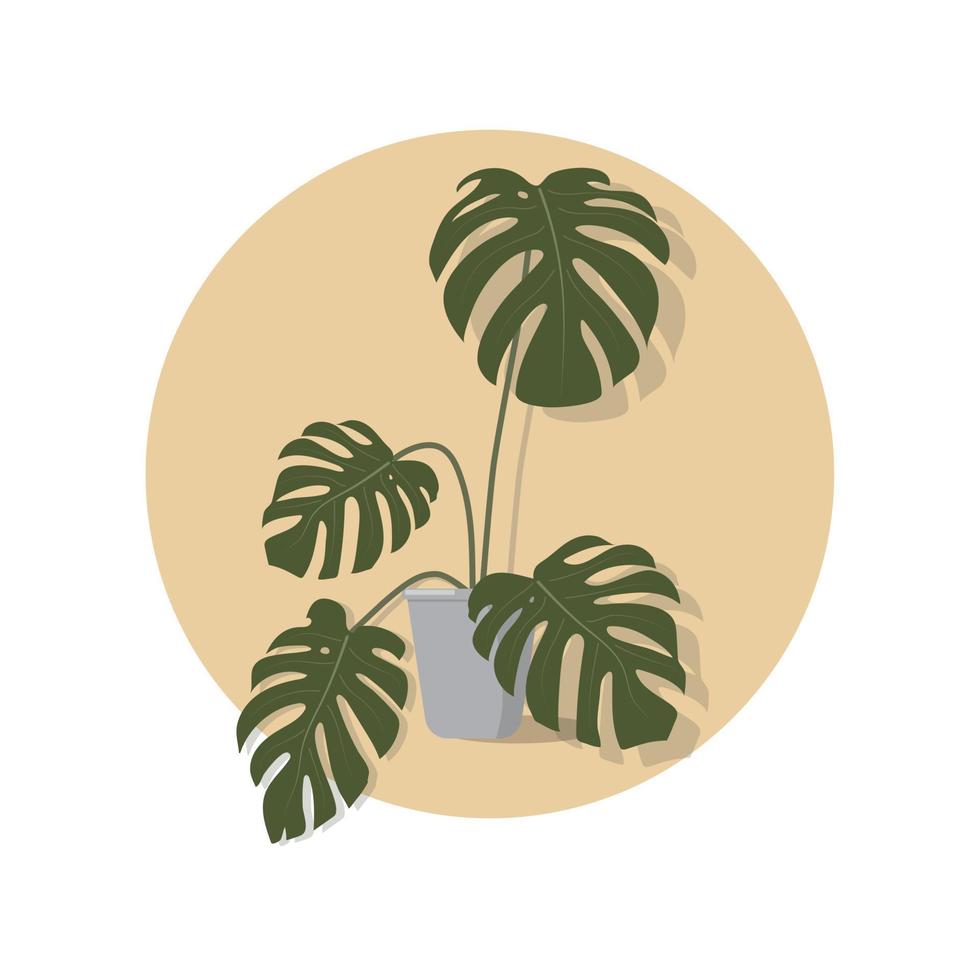 illustratie van een monstera kamerplant in een bloempot. vector