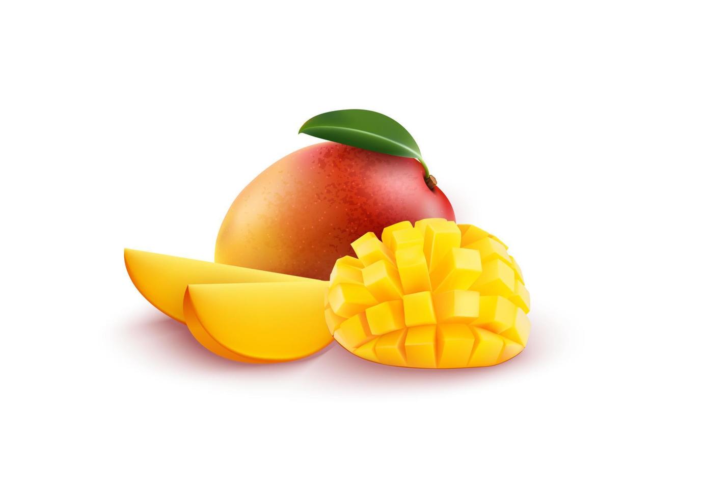 vectorillustratie van rijpe verse mango met plakjes en bladeren vector