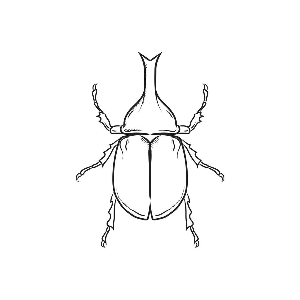 vector zwarte strepen neushoorn kever, hercules kever, eenhoorn kever, gehoornde kever, man op witte achtergrond