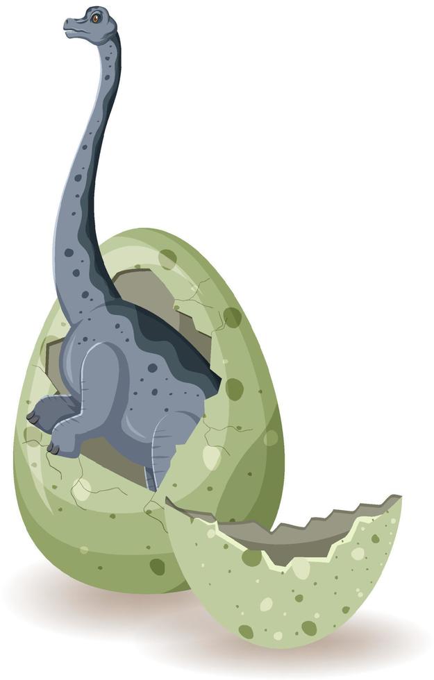 brachiosaurus komt uit ei vector