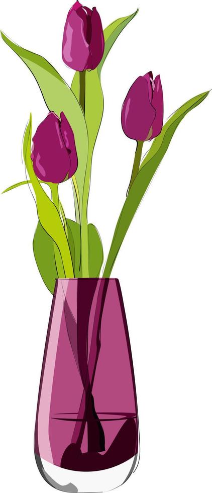 boeket donkerroze tulpen in een glazen vaas vector