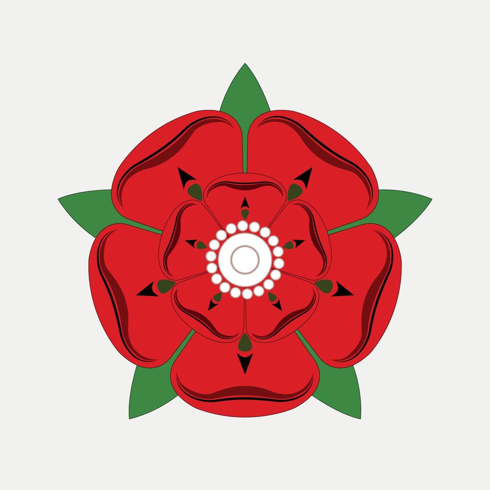 rode roos van lancaster tekening illustratie op grijze achtergrond. vector