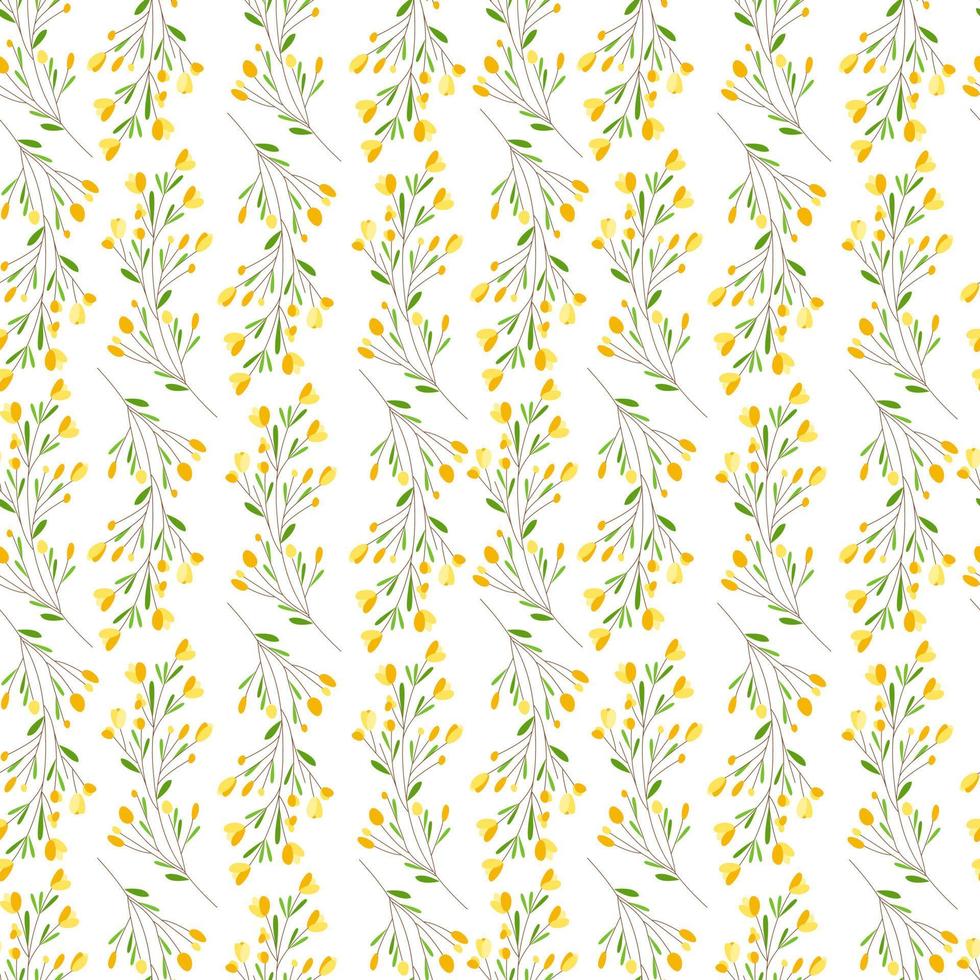 naadloze patroon mimosa gestileerd. tak van planten, gele bloemen, kleine bladeren op een witte achtergrond. mooi, delicaat ornament voor afdrukken op stof, papier, interieurdecoratie. vector