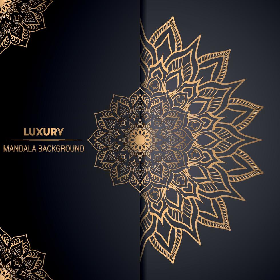 luxe mandala achtergrond vector