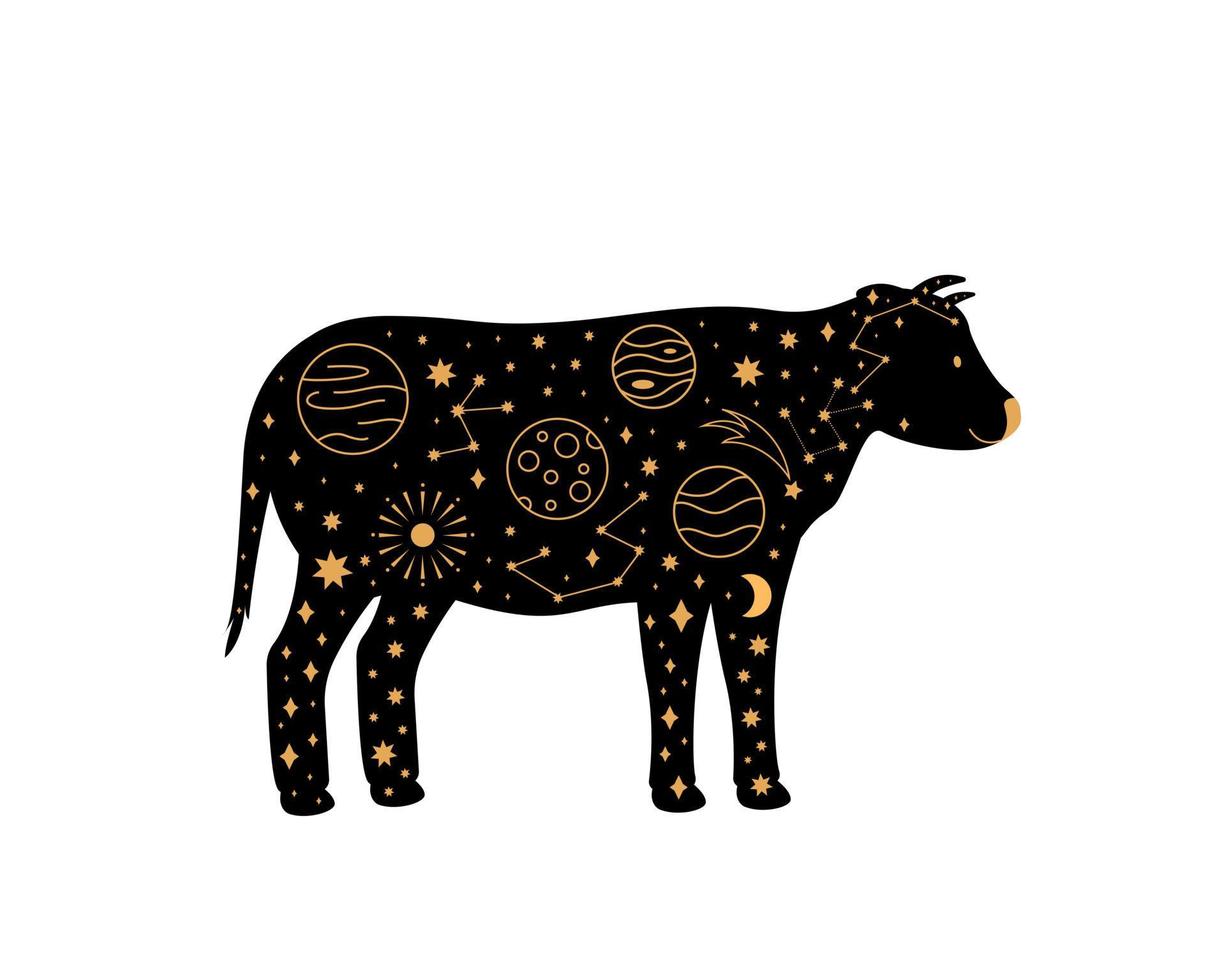 zwarte magische koe, mystieke halve maan esoterisch symbool, constellatie-elementen. heksachtig zwart huisdier. vector