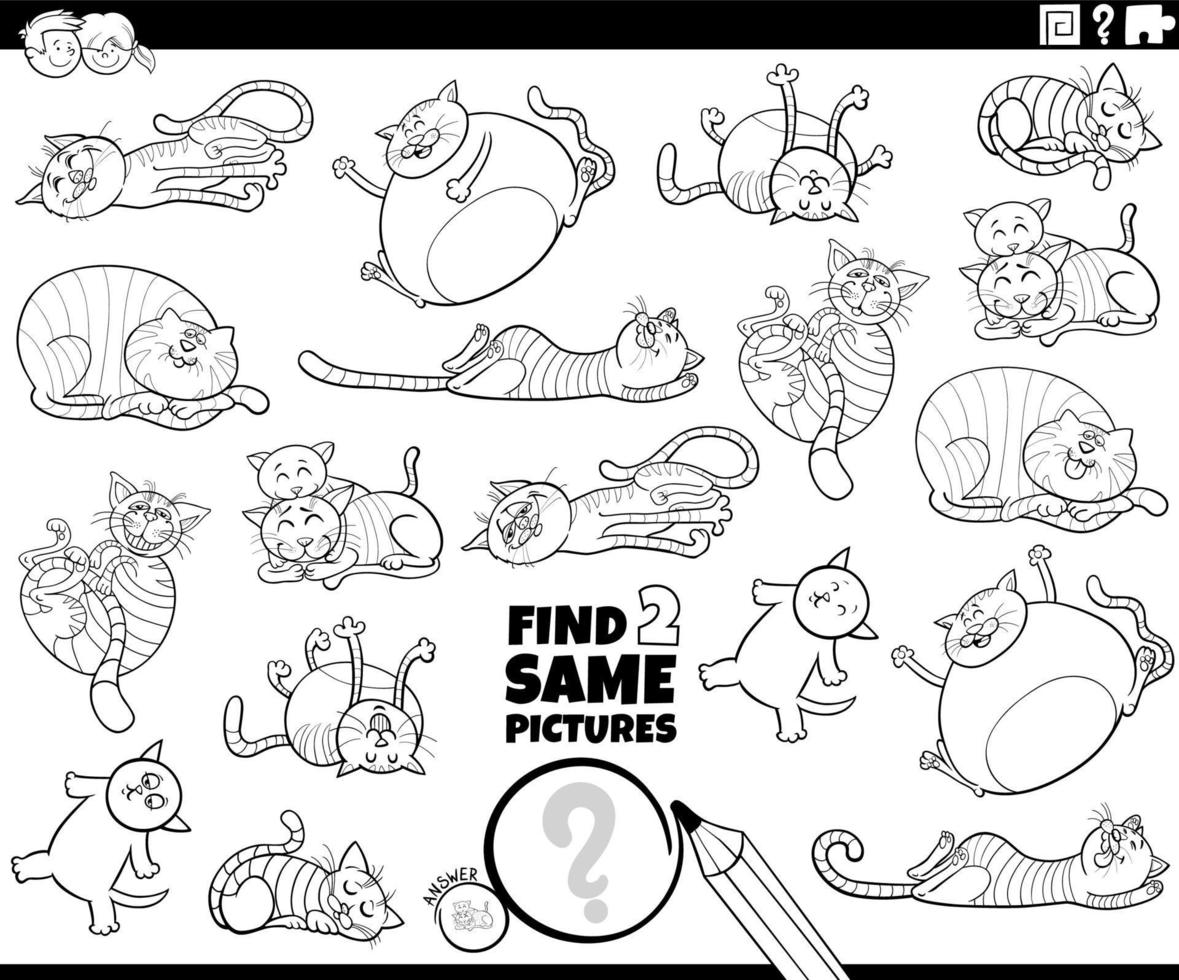 vind twee dezelfde cartoon katten spel kleurboek pagina vector