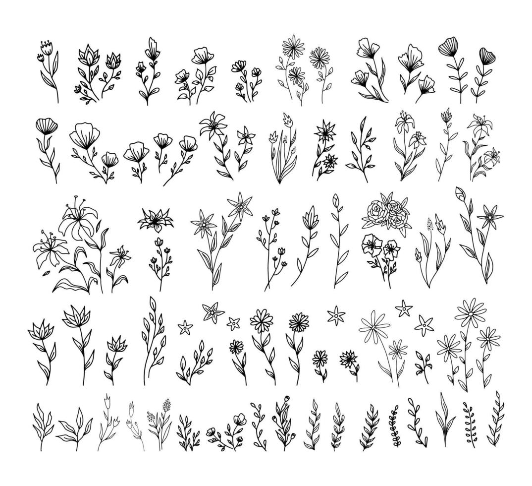 set vintage bloemen vectorelementen. leuke set doodle frames en randen. elementen bloemen, takken, sierletters en bloeit vector