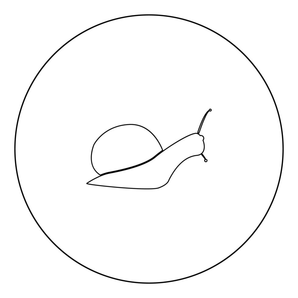 slak silhouet pictogram zwarte kleur in cirkel vector