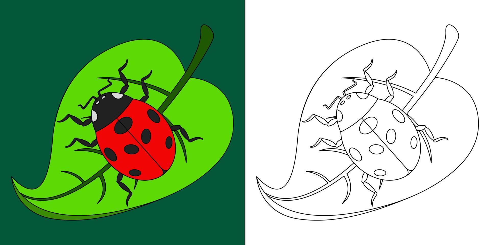 lieveheersbeestje op een blad geschikt voor kinder kleurplaten pagina vectorillustratie vector