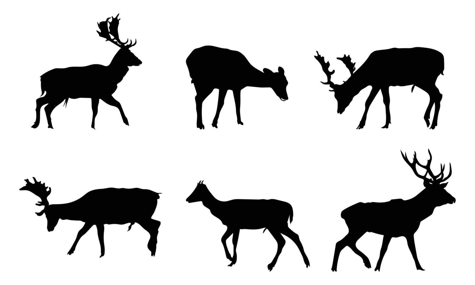 collectie van grafische zwarte silhouetten van wilde herten mannelijk, vrouwelijk en reeën. vector