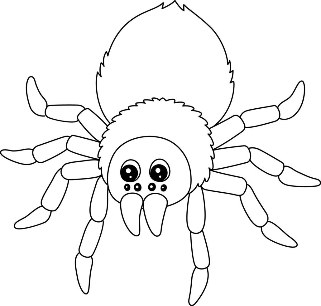 tarantula dier kleurplaat geïsoleerd voor kinderen vector