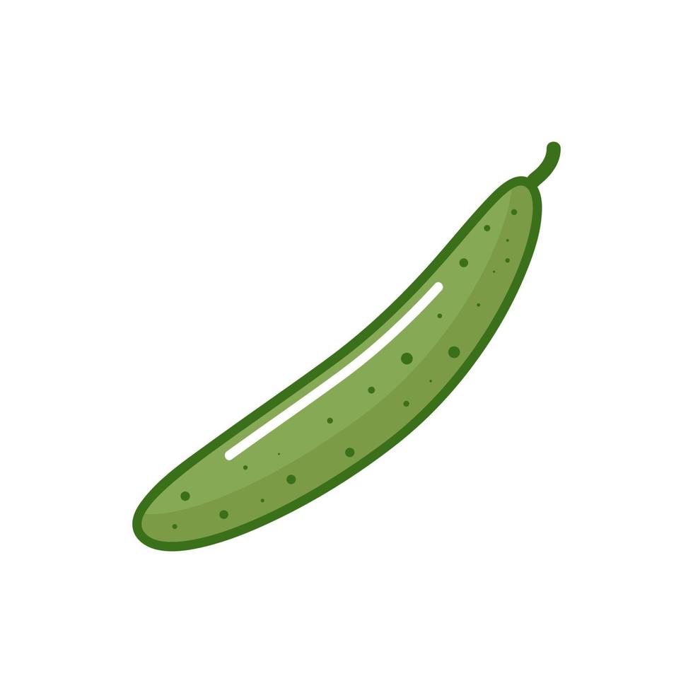 gezonde natuurlijke voeding groente rijpe groene komkommer vector
