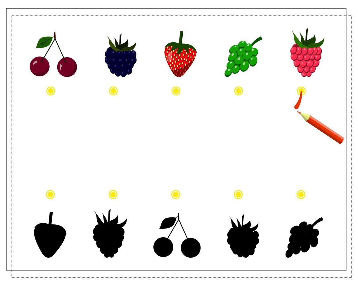 een spel voor kinderen, vind de juiste schaduw voor bessen. vector