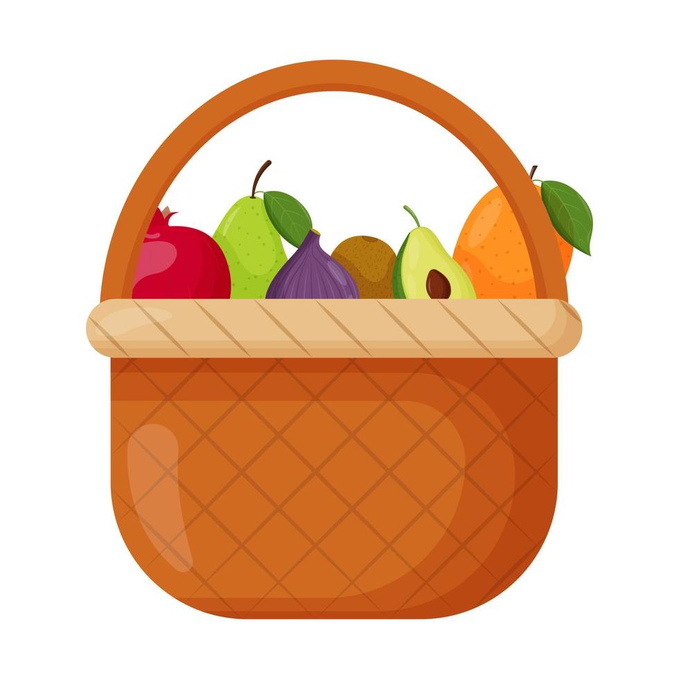 picknick manden. rieten backet met vers fruit. granaatappel, peer, vijg, kiwi, avocado mango platte vectorillustratie vector