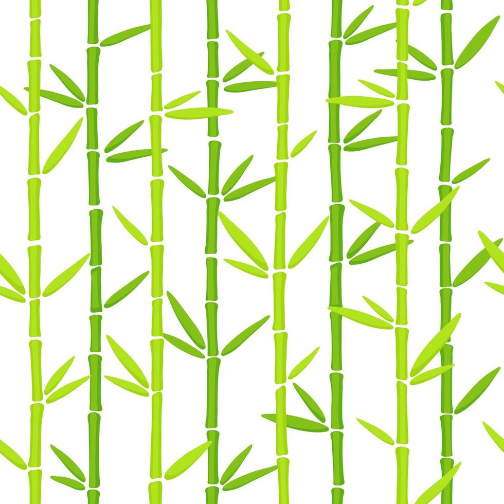 groen bamboe graspatroon. oosterse chinese plant handgetekende vector achtergrond