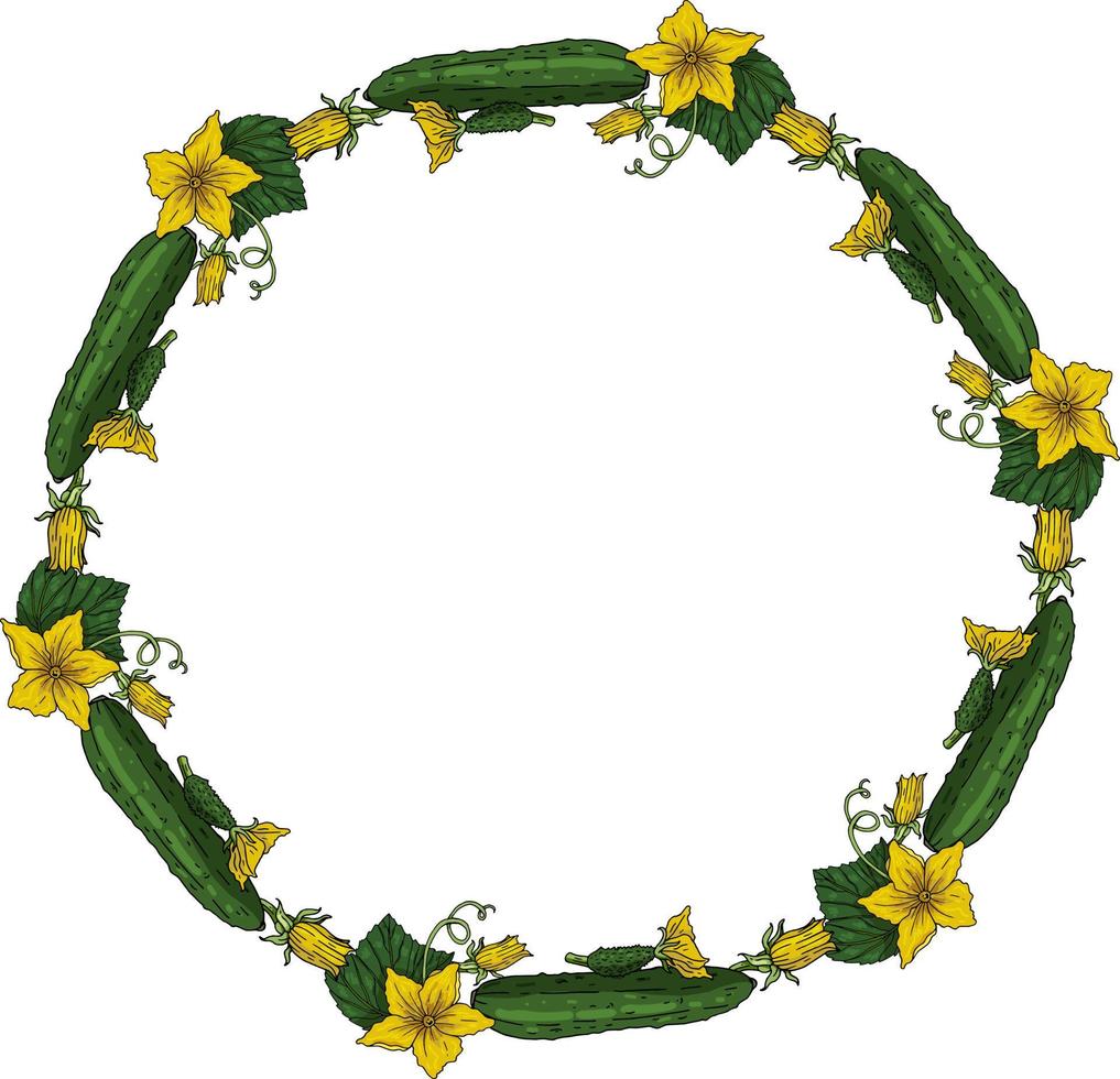 rond frame met komkommers. krans met komkommers, komkommerbladeren en bloemen op een witte achtergrond voor uw ontwerp vector