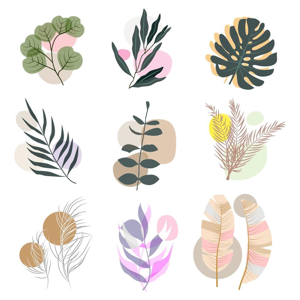 abstracte bloemen set, boho minimalistische stijl, plant set voor briefkaart, botanische muur print, behang, dekking, vectorillustratie vector