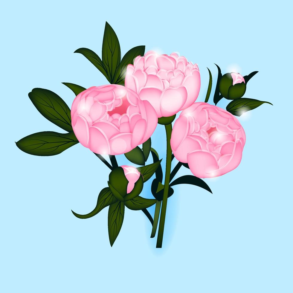 roze pioen op een blauwe achtergrond, realistische stijl boeket van pioenrozen, print, print, briefkaart, bloemen vectorillustratie, vector