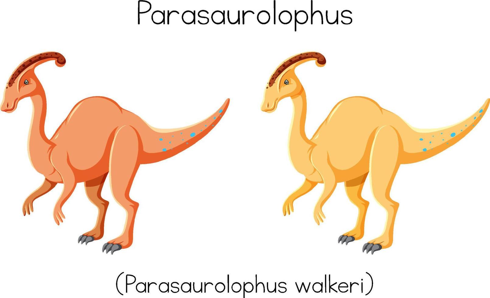 woordkaartontwerp voor parasaurolophus vector